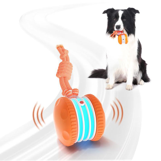 🐶 El YOBENSUN™ – Mantén a tu mascota relajada, feliz y satisfecha 🐾
